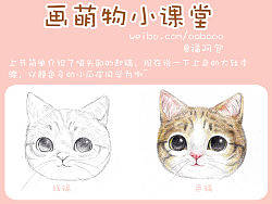 学画小萌猫