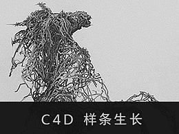 C4D教程