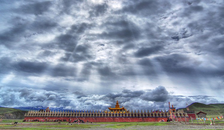 刘哈哈先森的个人主页（封面预览） - 主页封面设置 - 站酷设计师刘哈哈先森原创素材 - 站酷ZCOOL