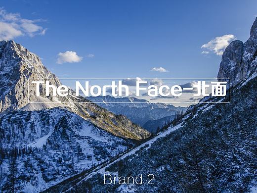 箱包品牌信息调研分析——Thule，The north face