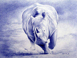 圆珠笔画《犀牛》步骤图