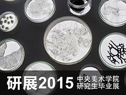《研展2015》中央美术学院研究生毕业展 #2015毕业展#