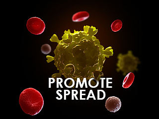 “virus”infarts