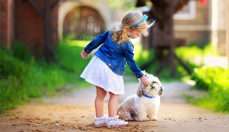 freedom_kk的個(gè)人主頁（封面預(yù)覽） - 主頁封面設(shè)置 - 站酷設(shè)計(jì)師freedom_kk原創(chuàng)素材 - 站酷ZCOOL