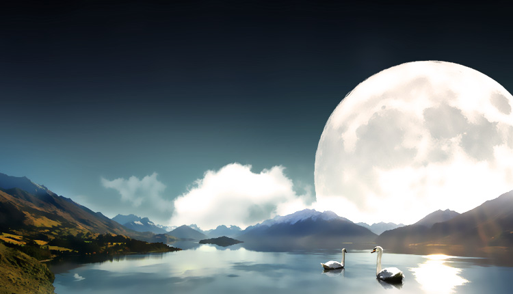 貌似大白的个人主页（封面预览） - 主页封面设置 - 站酷设计师貌似大白原创素材 - 站酷ZCOOL