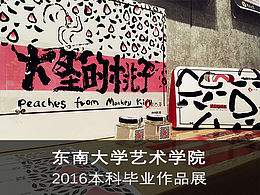 东南大学艺术学院本科毕业展#青春答卷2016#