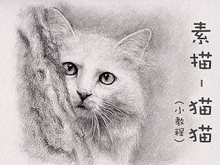躲在背后的《渴望》（素描-猫猫）