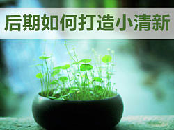 100天后期范儿蜕变之路之后期如何打造小清新