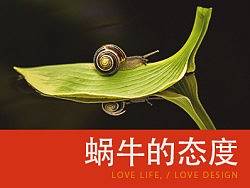蜗牛的态度——请永远不要怀疑我前进的脚步