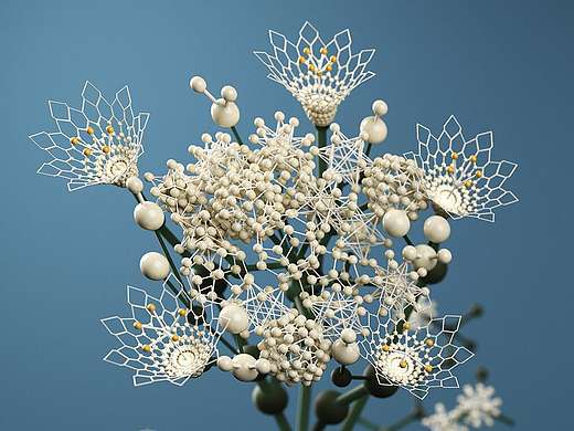 2016世界插画奖广告专业组冠军3D插画