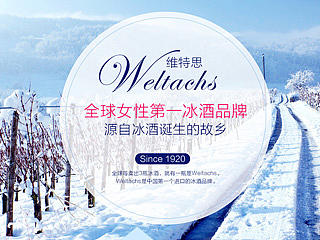 维特思旗舰店-品牌简介（个人主页-ZMTMyNDg0NDg=） - 运营设计 - 站酷设计师爱吃闲鱼的猫原创素材 - 站酷ZCOOL