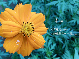 我们在IT行业能混多久？