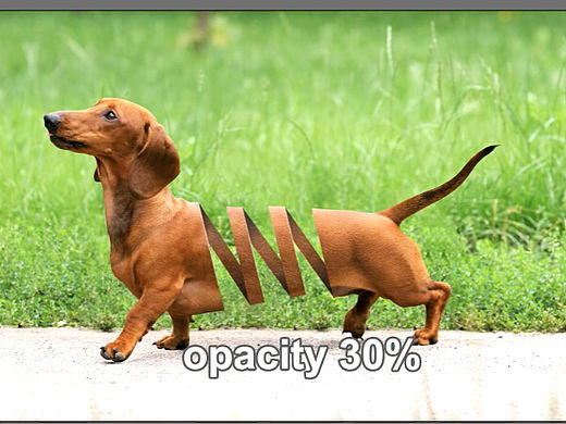photoshop视频教程，一只狗的创意合成，ps创意合成教程 