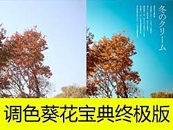 《后期调色葵花宝典终极版》