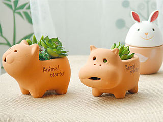 動(dòng)物花盆（Animal flowerpot）（個(gè)人主頁(yè)-ZMTI5MDQ2ODg=） - 電商 - 站酷設(shè)計(jì)師打盹的松鼠原創(chuàng)素材 - 站酷ZCOOL