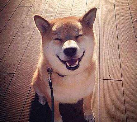 官网设计过程和经验