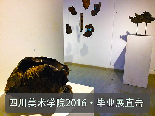《开放的6月》Vol.8雕塑系  2016四川美术学院毕业生作品展  #2016青春答卷#