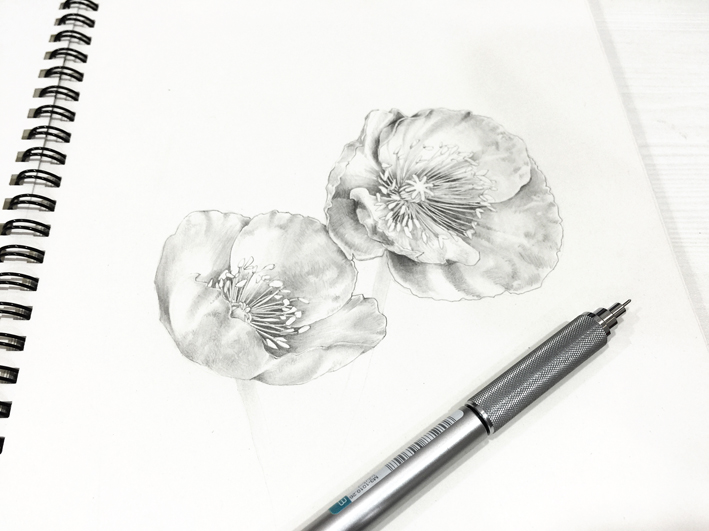 seasonjune的个人主页（封面预览） - 主页封面设置 - 站酷设计师seasonjune原创素材 - 站酷ZCOOL