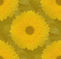 吳浩添的個(gè)人主頁(yè)（背景預(yù)覽） - 主頁(yè)背景設(shè)置 - 站酷設(shè)計(jì)師吳浩添原創(chuàng)素材 - 站酷ZCOOL