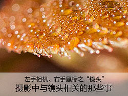 左手相机右手鼠标之“镜头”