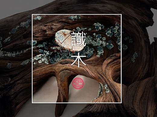 【自然造物】一物·「識木」