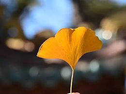 16有你，17同行～