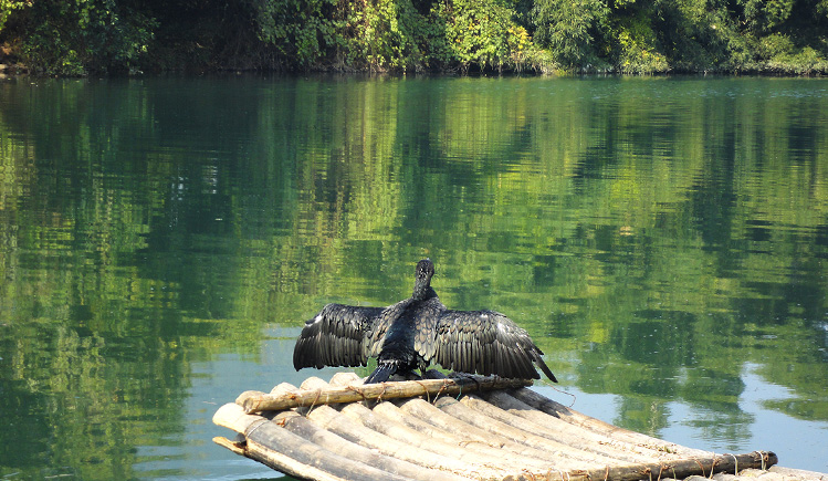 圆不溜溜的个人主页（背景预览） - 主页背景设置 - 站酷设计师圆不溜溜原创素材 - 站酷ZCOOL