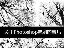 3件关于Photoshop笔刷的事儿