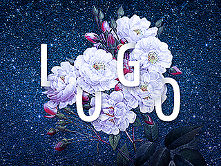几个LOGO