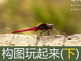 摄影