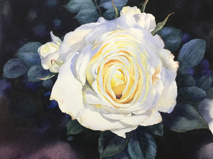 阳光树影中的白玫瑰（超详细教程）