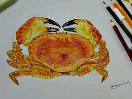 我不会告诉你,我饿了