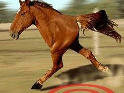 平面设计师如何提高设计水平