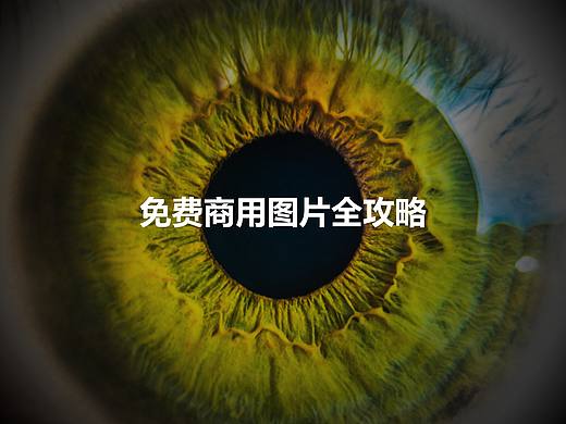 如何找免费图片