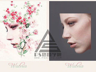 PS调色合成插画风格大片紫藤花视频教程