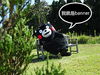 banner设计的经验总结（篇目一）