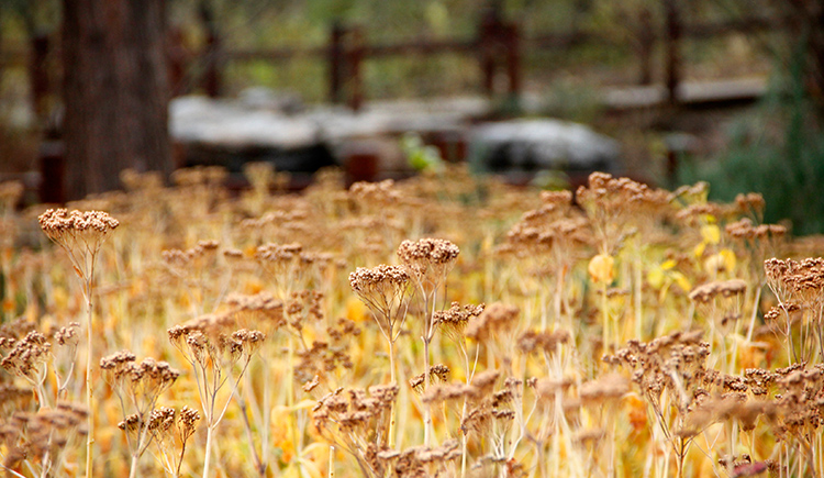 v凝风的个人主页（封面预览） - 主页封面设置 - 站酷设计师v凝风原创素材 - 站酷ZCOOL