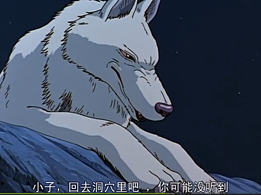 森林在求救,你却假装看不见