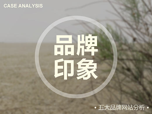官网与品牌风格·5大案例浅析
