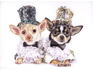 色鉛筆的寵物萌繪封面作畫過程（個人主頁-ZNzMzMDg=） - 插畫 - 站酷設(shè)計師Zealxin原創(chuàng)素材 - 站酷ZCOOL