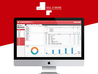 金仕达卫宁医保系统