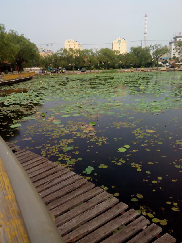 鬼谷子16的个人主页（背景预览） - 主页背景设置 - 站酷设计师鬼谷子16原创素材 - 站酷ZCOOL