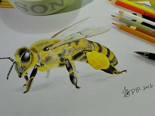 五月槐花香（个人主页-ZNDAxNjI0） - 插画 - 站酷设计师影智品牌原创素材 - 站酷ZCOOL