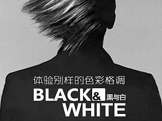 体验别样的色彩格调：黑与白