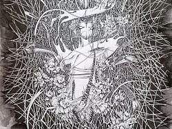 临摹&nbsp;&nbsp;非花