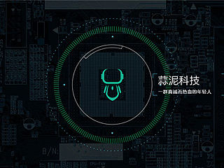 蒜泥科技企业官网设计