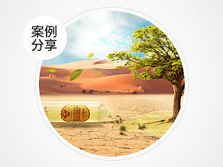 柏卡姿洋甘菊纯露海报合成(设计过程)