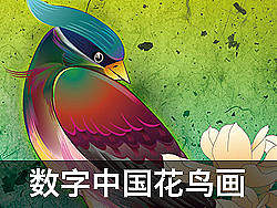 中国花鸟画的数字矢量体现