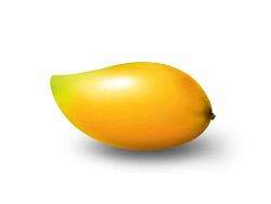 ps制作檸檬（個(gè)人主頁-ZMzU2MTY=） - 插畫 - 站酷設(shè)計(jì)師momogou原創(chuàng)素材 - 站酷ZCOOL