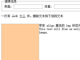 CSS样式特殊效果 删除文本 下划线文本 表单样式 图片展示